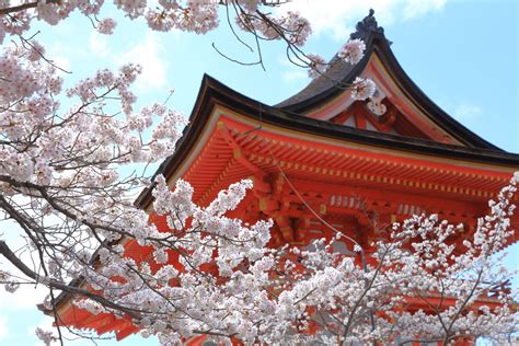 10 Best Things to Do in Kyoto in April 2023 - Japan Web Magazine