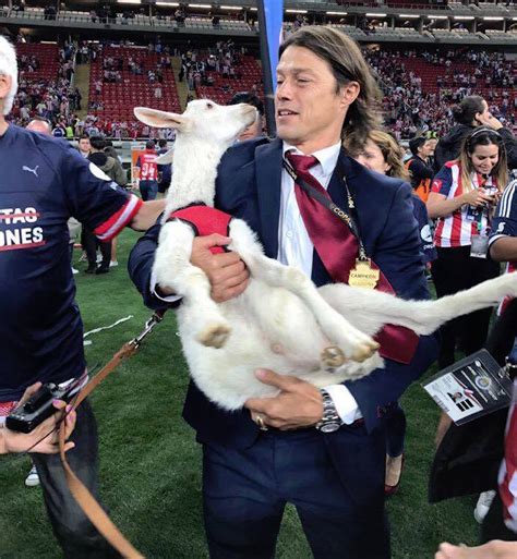 Matías Almeyda celebró el título de Copa MX ¿con una chiva? | Sopitas.com