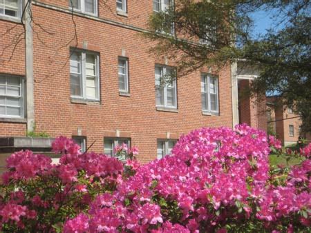 Top 10 Dorms at Sam Houston State University - OneClass Blog