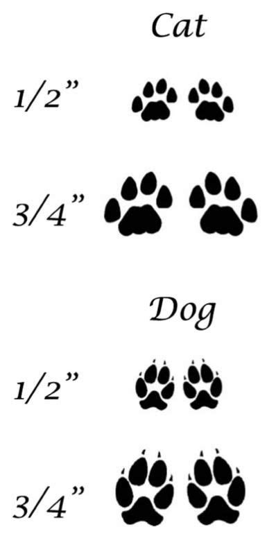 cat paw vs dog paw print