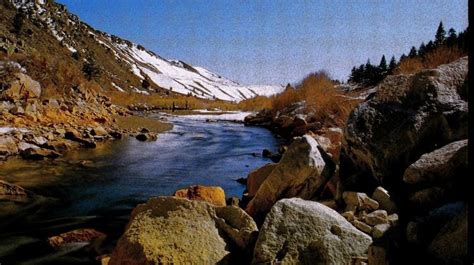 DIY Guide to Fly Fishing the West Walker River in California | DIY Fly ...