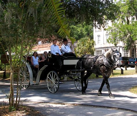 Micanopy Fall Harvest Festival - Visit Natural North Florida