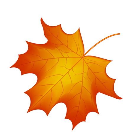 autumn maple leaf vector on a white background 2263878 Vector Art at ...