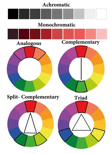 Color Harmony | Color harmony, Color theory art, Color theory