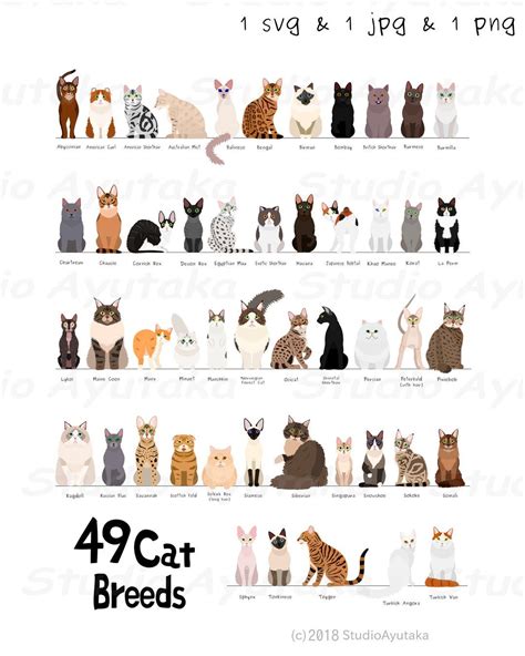 Dog Chart, Cat Breeds Chart, Dog Breeds, Funny Cats And Dogs, Funny Cute Cats, Cats And Kittens ...