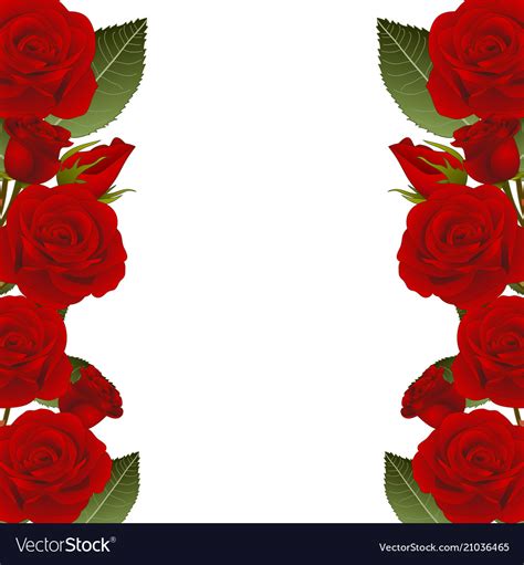 Red rose flower frame border Royalty Free Vector Image