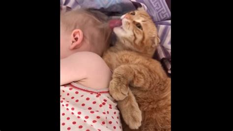 Cat licks baby girl's head to wake her up in a cute yet hilarious way. Watch | Trending ...