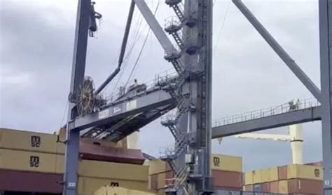 Container crane crashes down on MSC feeder at Yantian port - Container News