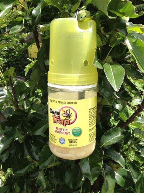 Insecticide - Cera Fruit Fly Trap 600ml - Dawsons Garden World