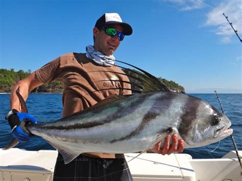 Panama's Best Roosterfish Photos - Come Fish Panama