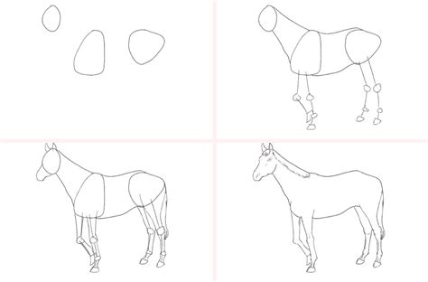 Learn how to draw a horse: step-by-step tutorial