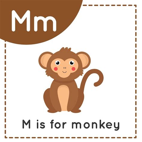 Premium Vector | Animal alphabet flashcard for children. learning letter m. m is for monkey.