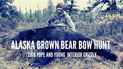 Brown Bear Hunting in Alaska - Bow Hunt P&Y Grizzly Bear - YouTube