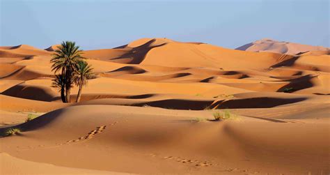 The Secrets Unveiled: Exploring the Enigmatic Sahara Desert - Citard