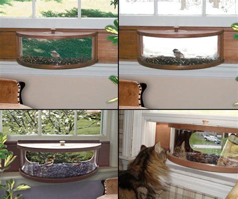 Panoramic In-House Window Bird Feeder With One-Way Mirror | The Green Head