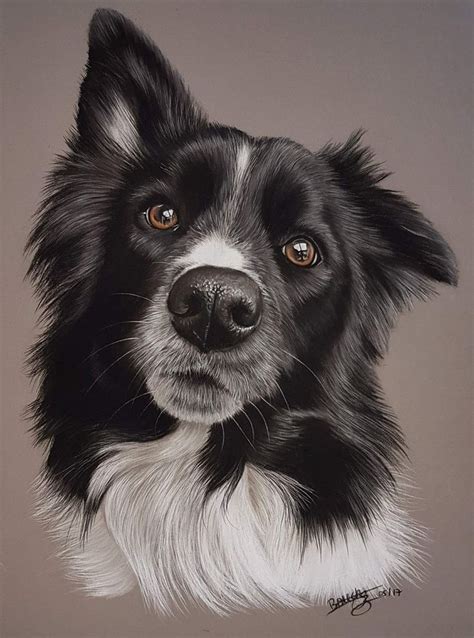 The 15 Most Realistic Australian Shepherd and Border Collie Paintings ...