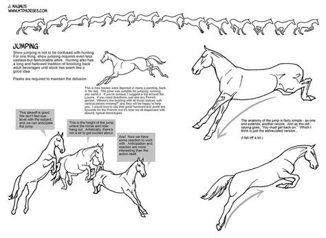 Horse Jumping Tutorial by sketcherjak on DeviantArt