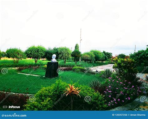 Navodaya Stock Photos - Free & Royalty-Free Stock Photos from Dreamstime