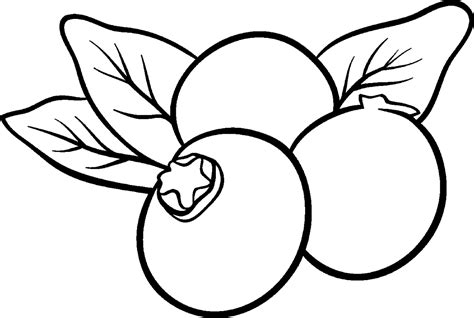 Blueberries coloring pages to download and print for free