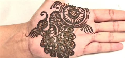 How to Create an Indian Peacock Mehndi Design Tattoo « Henna :: WonderHowTo