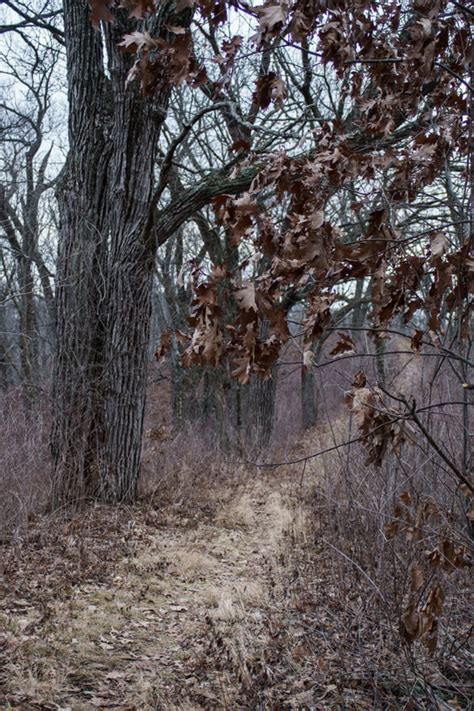 The Park Next Door - Stony Ridge Nature Trail