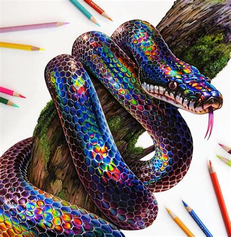 Drawing Pencils – 37 Sketching Art Set | Snake drawing, Snake painting, Pencil drawings of animals