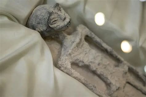 The Mexican Alien Mummies, All You Need to Know – Mexico Unexplained