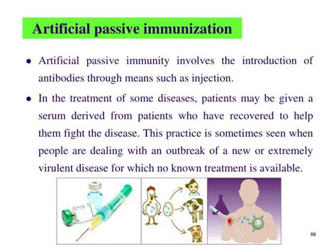 Artificial Passive Immunity Example : Human Defence System :: lcbiology / Active immunity and ...