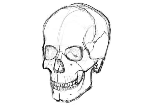 How to Draw a Skull: A Step-by-Step Guide - Udemy Blog