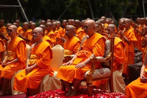 Free Images : gathering, group, people, flower, meeting, orange, monk ...