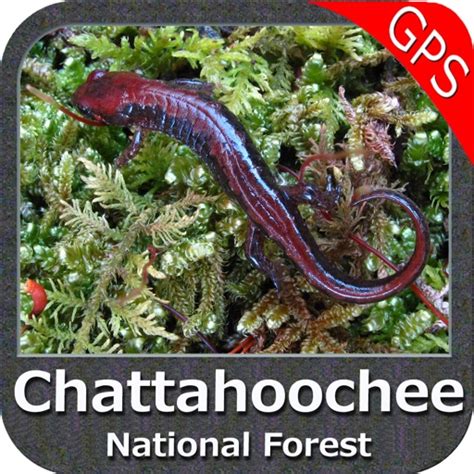 Chattahoochee National Forest - GPS Map Navigator | iPhone & iPad Game ...