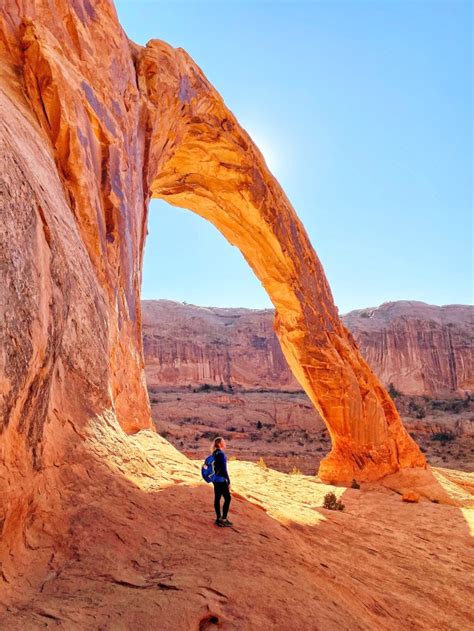 11 Tips for Hiking in the Desert - Our Beautahful World