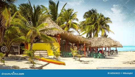 Tropical Bar on a Beach on Cozumel Island, Mexico Stock Photo - Image of america, ocean: 68563652