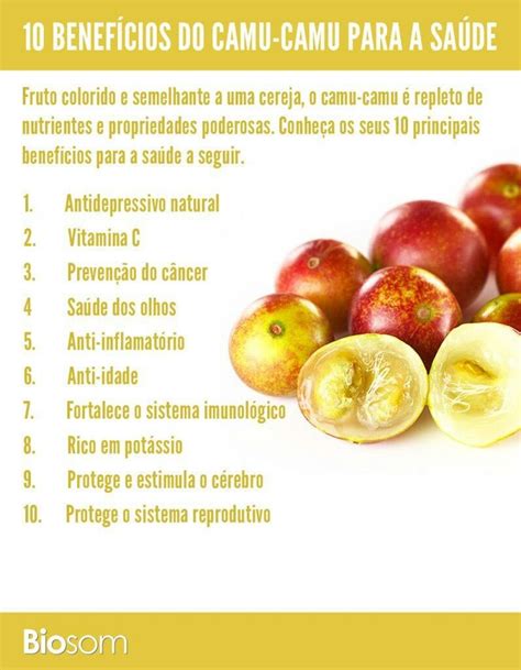 Benefícios do camu-camu | Alimentação e saúde, Benefícios, Saúde e nutrição