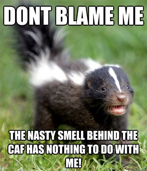 Happy Skunk Baby memes | quickmeme