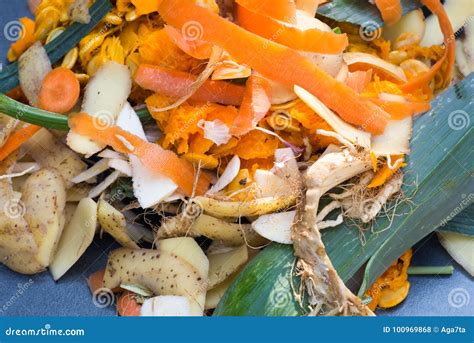 Kitchen Vegetable Waste for Compost Stock Photo - Image of environment ...