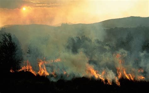 Nature Docs Avoid Habitat Destruction - Scientific American