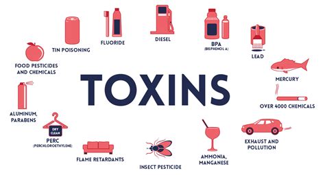 Understanding Toxins and Toxicity — Look Feel Better Today