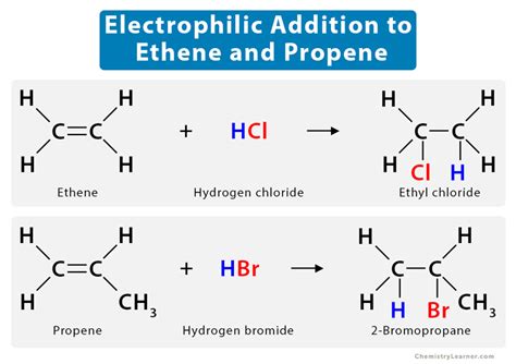 Electrophilic Addition: Definition, Examples, and Mechanism