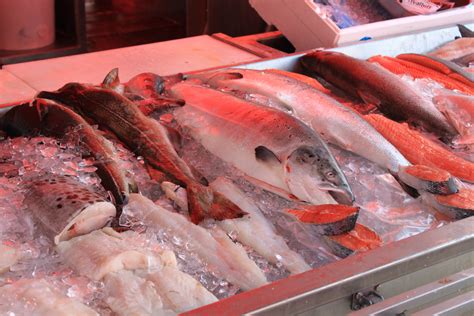 Free Images : sea, ice, food, seafood, market, display, milkfish, cod ...