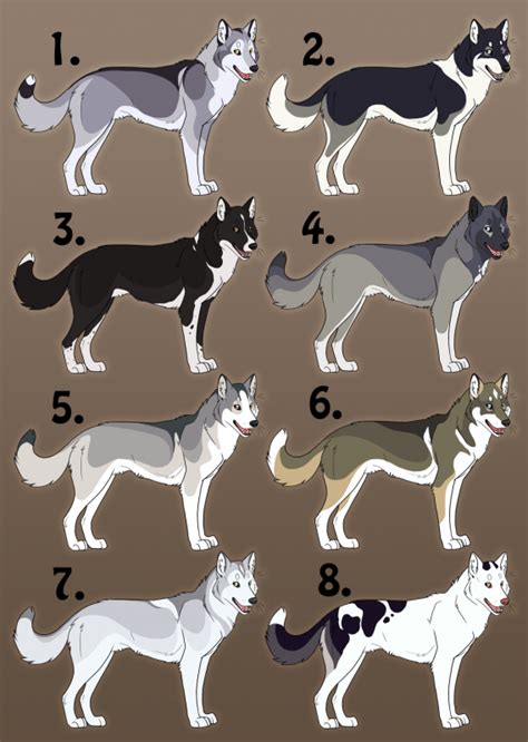 Siberian Husky Color Chart