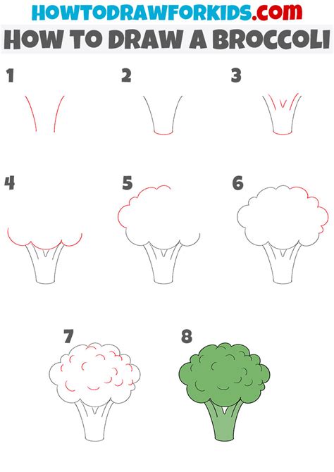 Broccoli Drawing