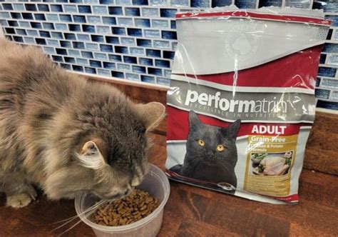 Performatrin Cat Food Review - Unbiased Review - Cats.com