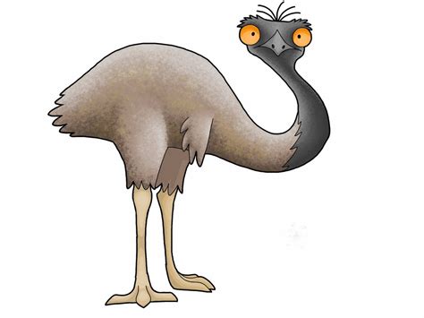 Collection of Cartoon Emu PNG. | PlusPNG