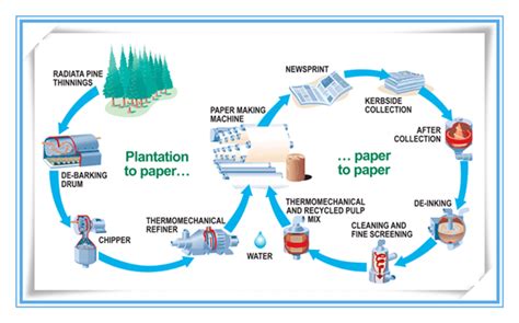 Tissue Paper Making Machine - Buy From Beston Machinery