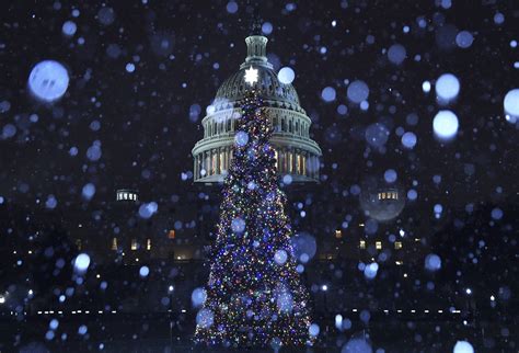 9 Best Holiday Lights Displays in Washington D.C.