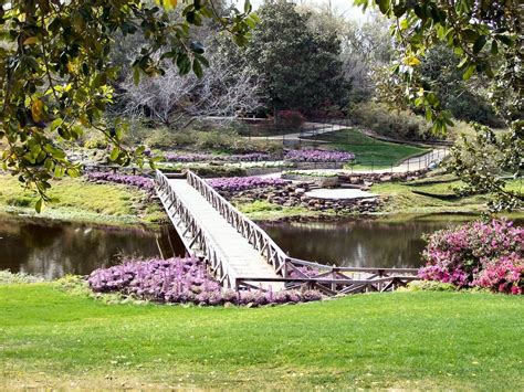 Bellingrath Gardens in Alabama. Maybe another great picture background | Garden visits, Sweet ...