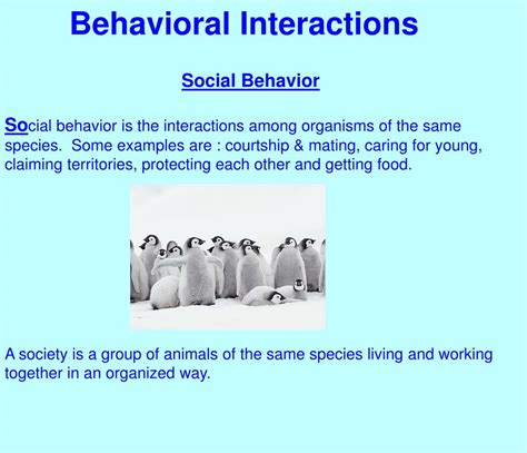 PPT - Animal Behavior PowerPoint Presentation, free download - ID:2805122