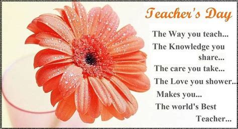 Teachers Day 2019 Shayari In English Wishes Quotes Sayings | Teachers day wishes, Happy teachers ...