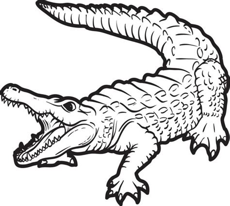 Get This Free Alligator Coloring Pages for Kids yy6l0